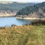 Rycerz 涅兹卡城堡