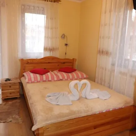 Rycerz 3* قلعة نيدزيكا