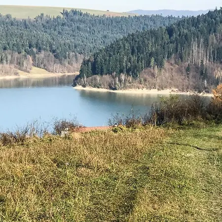 Rycerz قلعة نيدزيكا