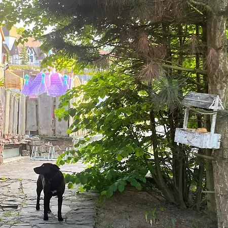 Rycerz Bed & Breakfast