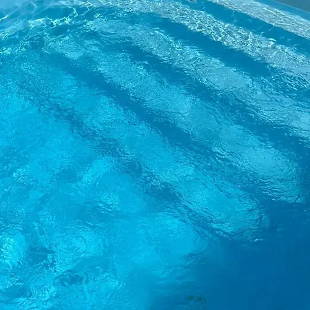 فندق مبيت وإفطار Rycerz قلعة نيدزيكا