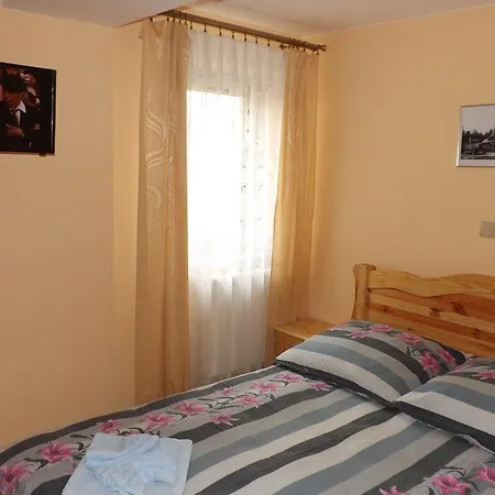 فندق مبيت وإفطار Rycerz قلعة نيدزيكا